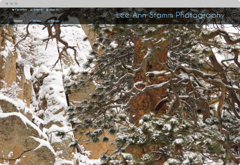 Redframe Photography Websites Client Example - Lee Ann Stamm Photography