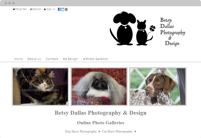 Redframe Photography Websites Client Example - Betsy Dallas Photography