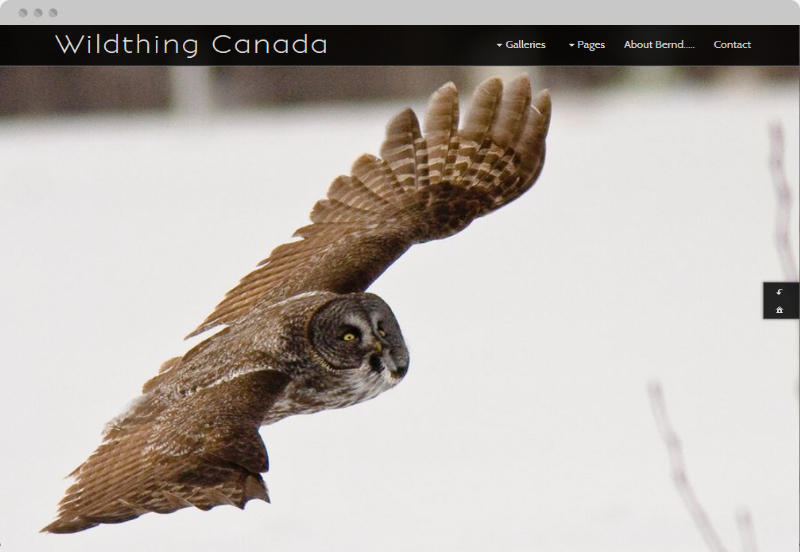 Redframe Photography Websites Client Example - Wildthing Canada
