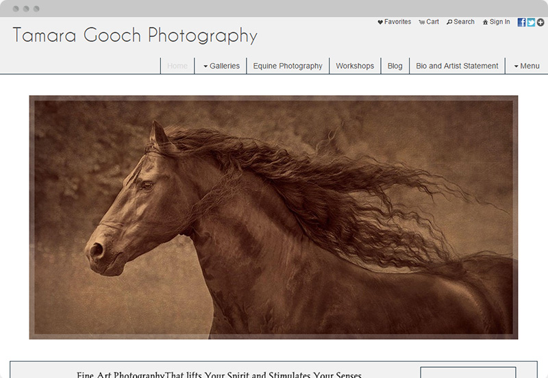 Redframe Photography Websites Client Example - Tamara Gooch Photography