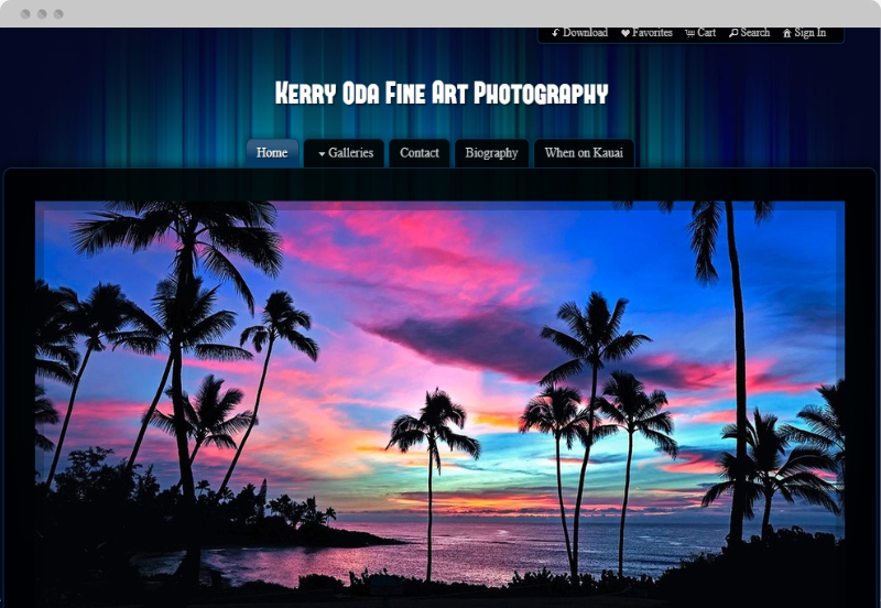 Redframe Photography Websites Client Example - Kerry Oda Fine Art