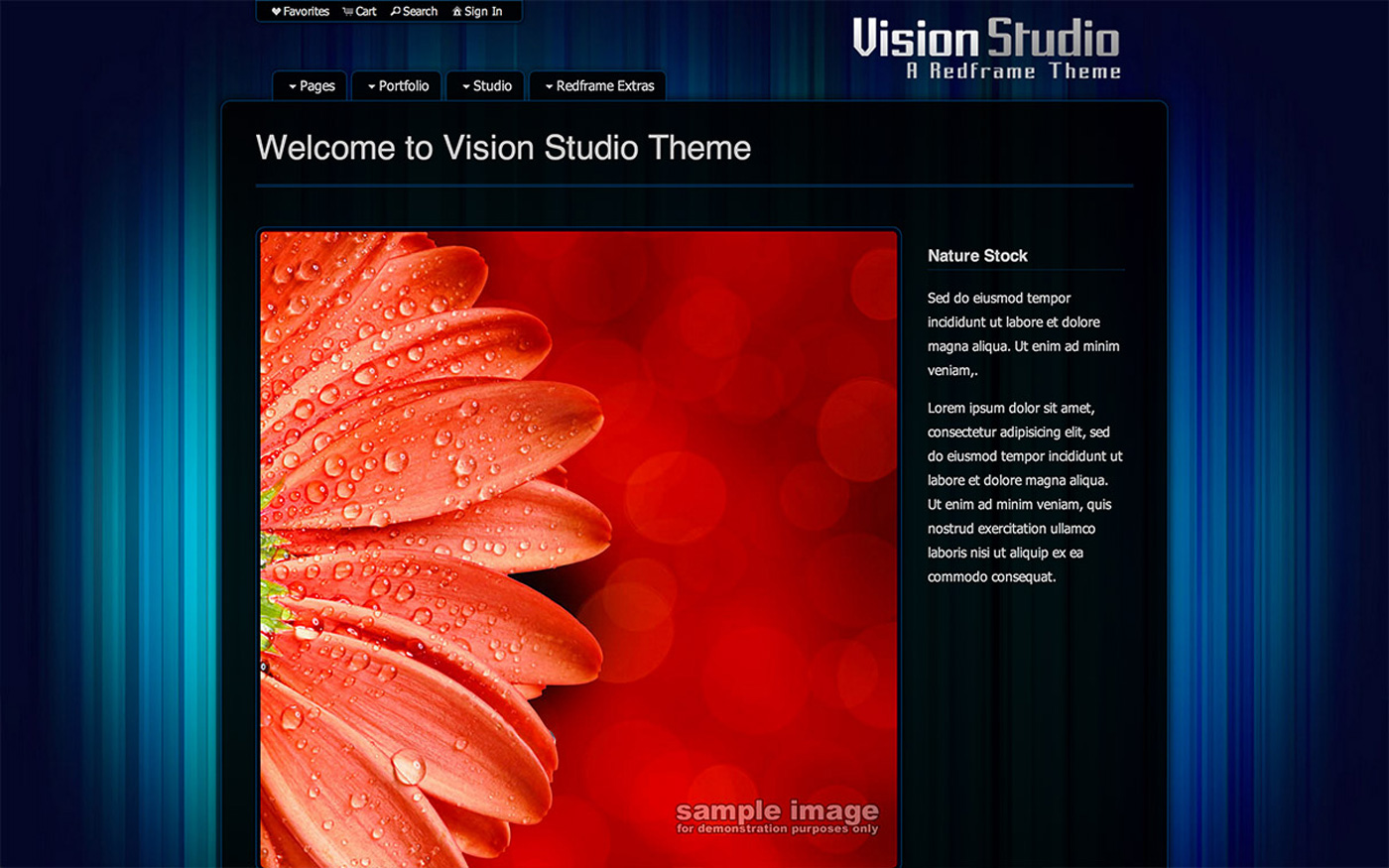 Redframe Vision Studio monitor screen